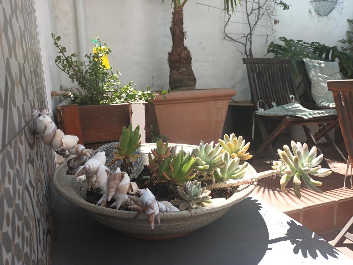 House On The Hill Hostel Cape Town Exterior photo